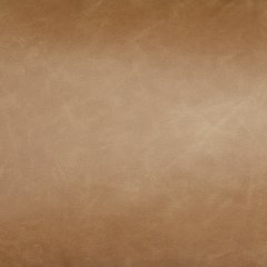 Danvale Pillow (Set of 4) - Williston Home Furniture (Williston, FL)