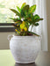 Meadie Vase - Williston Home Furniture (Williston, FL)