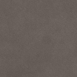 Darcy Sofa - Williston Home Furniture (Williston, FL)