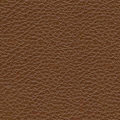 Healy Pier Living Room Set - Williston Home Furniture (Williston, FL)