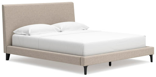 Cielden Upholstered Bed with Roll Slats - Williston Home Furniture (Williston, FL)