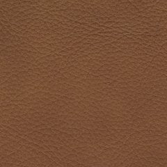 Magic Man 5-Piece Power Reclining Sectional - Williston Home Furniture (Williston, FL)